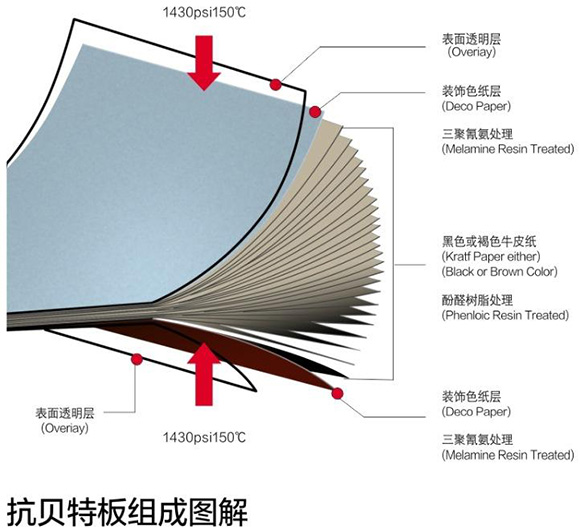 午夜福利免费网站抗倍特板組成圖解